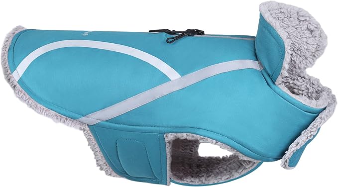 VIVAGLORY Frostfit Dog Coat, Dog Jacket for Winter & Cold Weather, Warm Fluffy Fleece Lined Water Resistant Reflective for Puppy, Coat with Velcro Fastening & Leash Hole, S, Turquoise