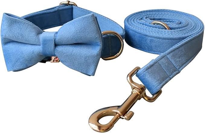 Dog Collar Custom Personalized Engraved Name and Phone Number for Puppy Small Medium Large Pets (L, Sky Blue)