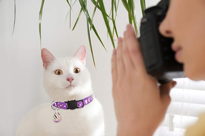 4 PCS Cat Collars with Bell Breakaway Gold Moons and Stars Adjustable Safety Kitten Collars with Charm Glow in The Dark