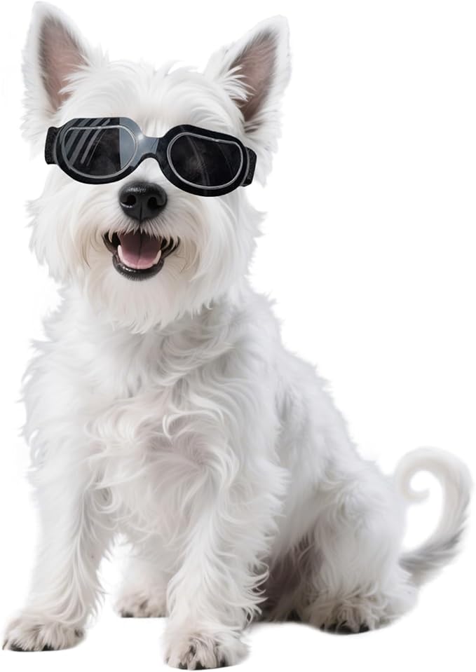 Namsan Dog Goggles Small Breed, Anti-UV Sunglasses for Dogs Small Breeds, Windproof Riding Dog Eye Protection, Yorkie Glasses with Elastic Straps, Easy Put-on/Adjustable, Bright Black