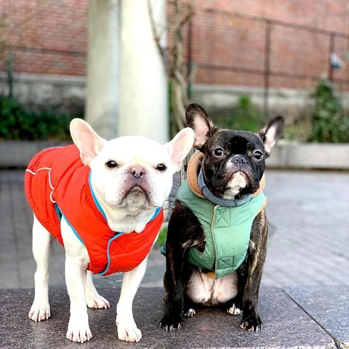 Gooby - Sports Vest, Fleece Lined Small Dog Cold Weather Jacket Coat Sweater with Reflective Lining, Green, Large