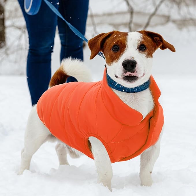 ASENKU Dog Winter Coat - Waterproof Windproof Dog Jacket, Warm Snowproof Doggie Puffer Vest for Cold Weather, Lightweight Snow Coats for Small Medium Large Dogs (Orange, M)