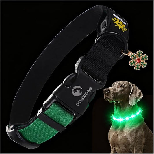 DOGWONG LED Dog Collar - Heavy Duty Light up Collars - Rechargeable Waterproof - Lighted Dog Collar for Night Walking, Hiking, Camping(Green,L)