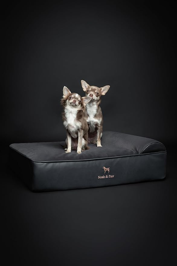 NOAH & PAW Dog Bed, 28x23x7.5 Inch, Orthopedic Dog Beds for Medium Size Pets, Eggshell Memory Foam Infused with Cooling Gel, Waterproof, Machine Washable, Includes Inner Cover (Faux Leather)