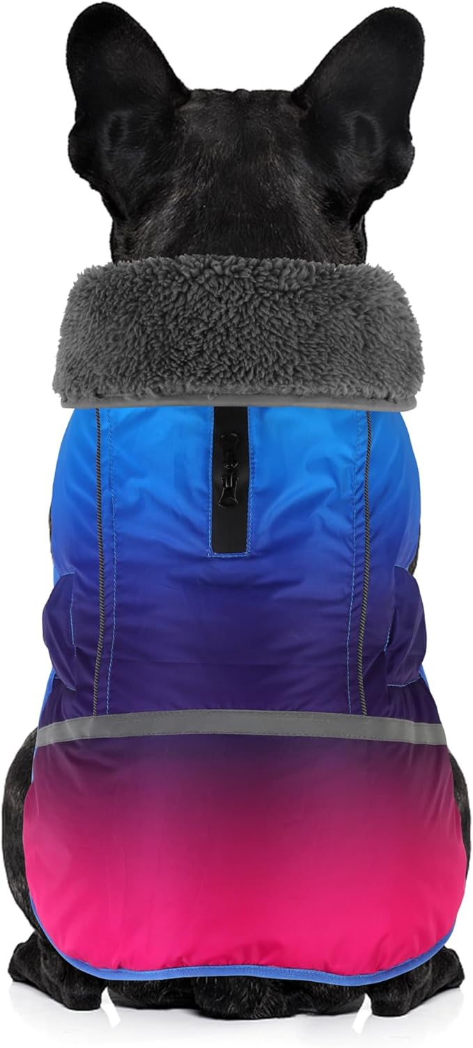 Dogcheer Warm Dog Coat, Waterproof Dog Winter Jacket Christmas Puppy Cold Weather Coats with Buckle, Reflective Adjustable Pet Snow Jacket for Small Medium Large Dogs - Gradient Blue-red, M