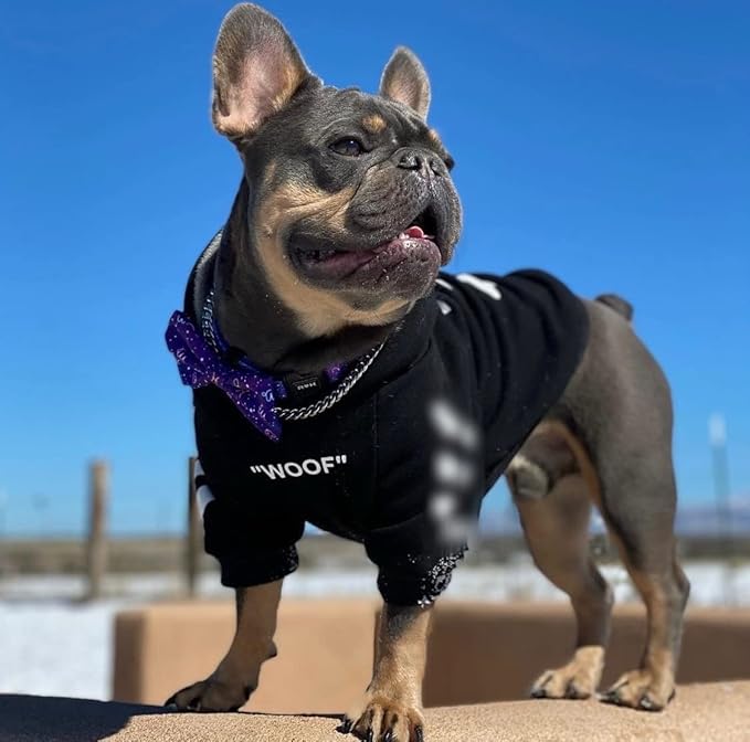 ChoChoCho Stylish Dog Hoodie Dog Clothes Streetwear Cotton Sweatshirt Fashion Outfit for Dogs Cats Puppy Small Medium Large (XL, Black)
