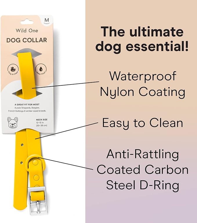 Wild One Dog Collar, Easy-Clean, All Weather Flex-Poly Strap with Metal, Durable, Dirt and Odor Resistant (Butter, M)