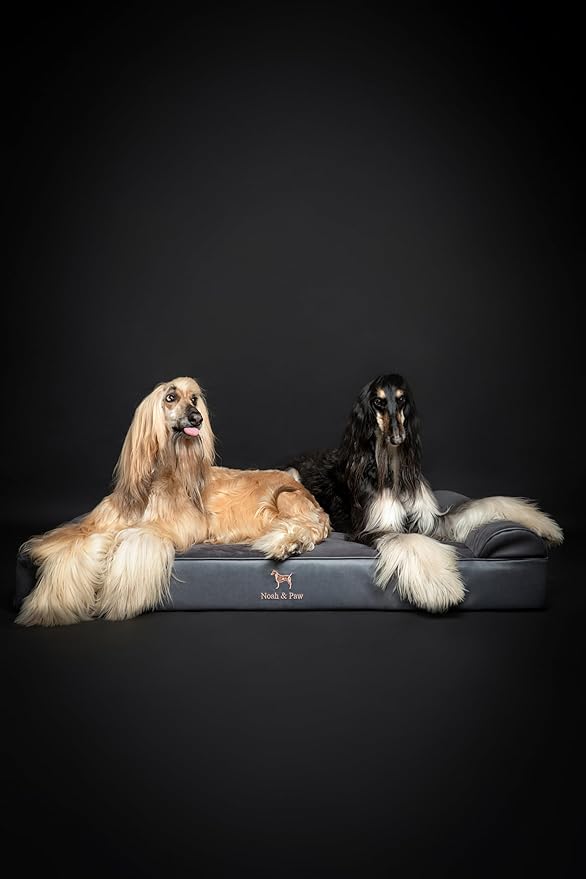 NOAH & PAW Giant Dog Bed XXL 55x45x9.5 Inch, Orthopedic Dog Beds, Eggshell Memory Foam Infused with Cooling Gel, Waterproof, Machine Washable, Includes Inner Cover (Faux Leather)