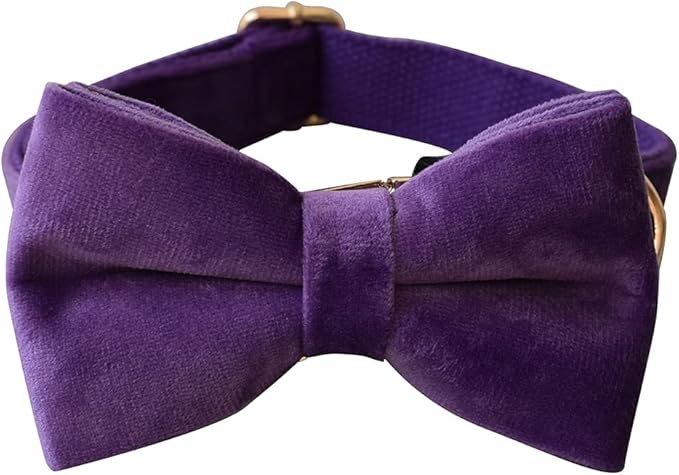 Dog Collar Custom Personalized Engraved Name and Phone Number for Puppy Small Medium Large Pets (M, Purple)