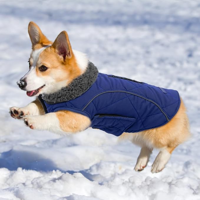 EMUST Dog Jacket Polyester Winter Coat for Medium Large Dogs, Reflective Vest with Zipper, Warm for Cold Weather, Dark Blue, L