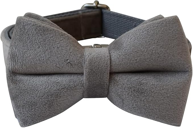 Dog Collar Custom Personalized Engraved Name and Phone Number for Puppy Small Medium Large Pets (S, Grey)