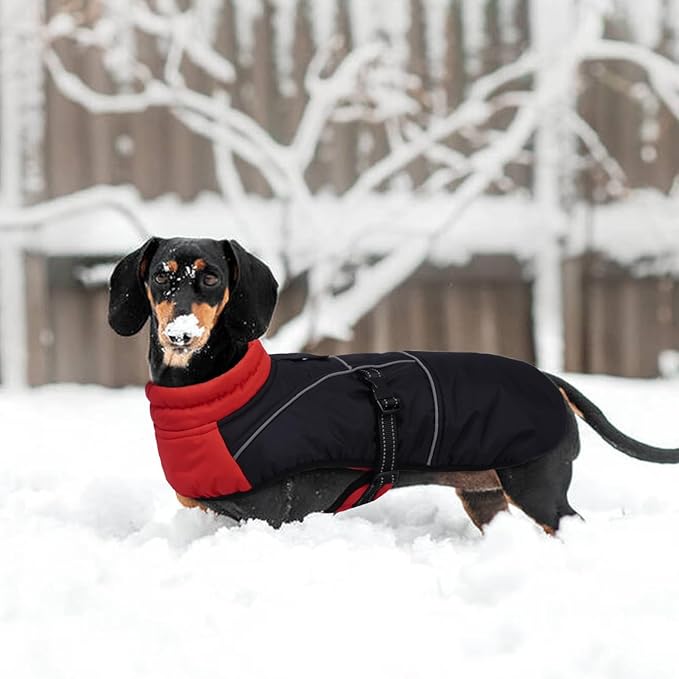 Lelepet Dachshund Coat Warm Dog Winter Coat Waterproof Dog Jacket with Fleece Lining, Reflective Outdoor Dachshund Snowsuit with Leash Hole Adjustable Neckline,Coats for Small Medium Dogs,Red, XS