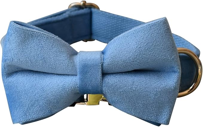 Dog Collar Custom Personalized Engraved Name and Phone Number for Puppy Small Medium Large Pets (M, Sky Blue)