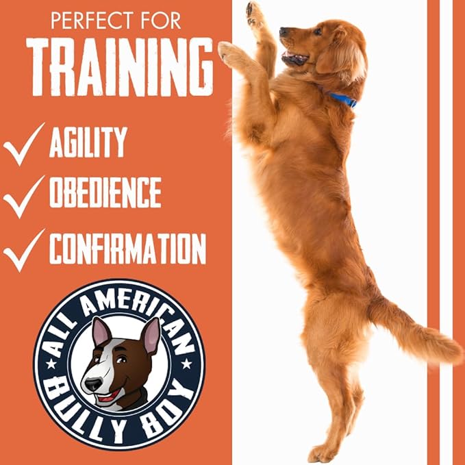 Bully Boy's Famous Mini Beef Training Nibs Dog Treats | Free from Wheat, Corn, Soy, or Gluten | USA Sourced Ingredients | with Smokehouse Beef | Made in Utah | 15 oz - 1 Pack