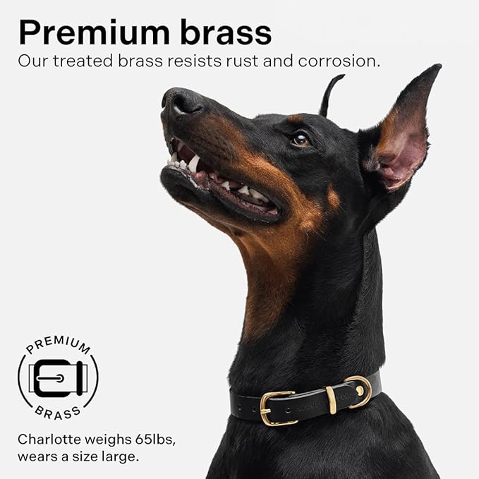 Classic Genuine Leather Dog Collar | Dog Collars for Medium Dogs, Small Dogs, Large Dogs & Extra Large Dog | Wide Dog Collar | Heavy Duty Dog Collar (Black, S: 0.5" Wide for 7.5"-10.5" Neck)