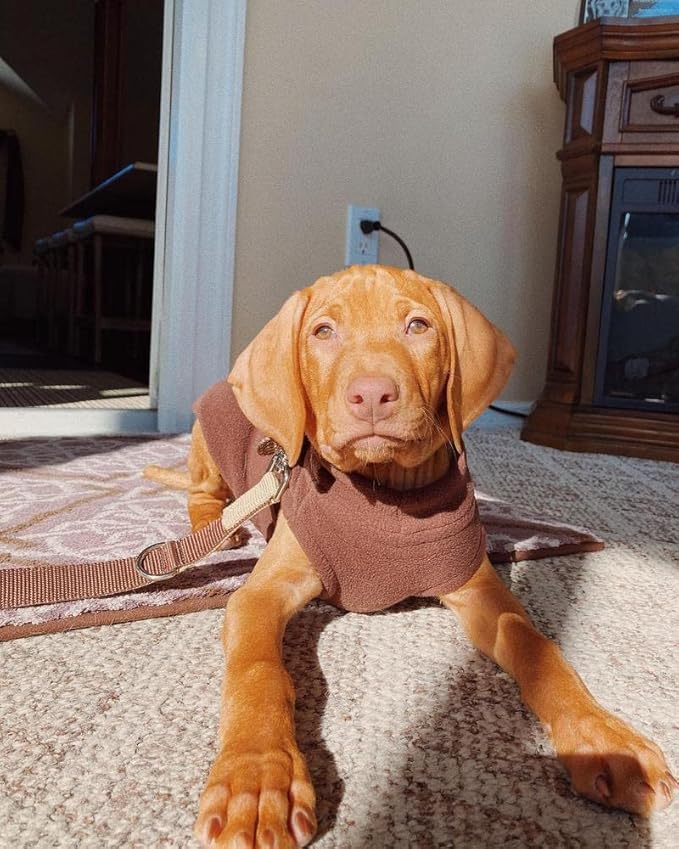 Gooby Stretch Fleece Vest Dog Sweater - Brown, Medium - Warm Pullover Super Stretchy Fleece Dog Jacket for Small to Large Dogs