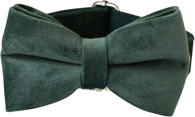 Dog Collar Custom Personalized Engraved Name and Phone Number for Puppy Small Medium Large Pets (XL, Green)