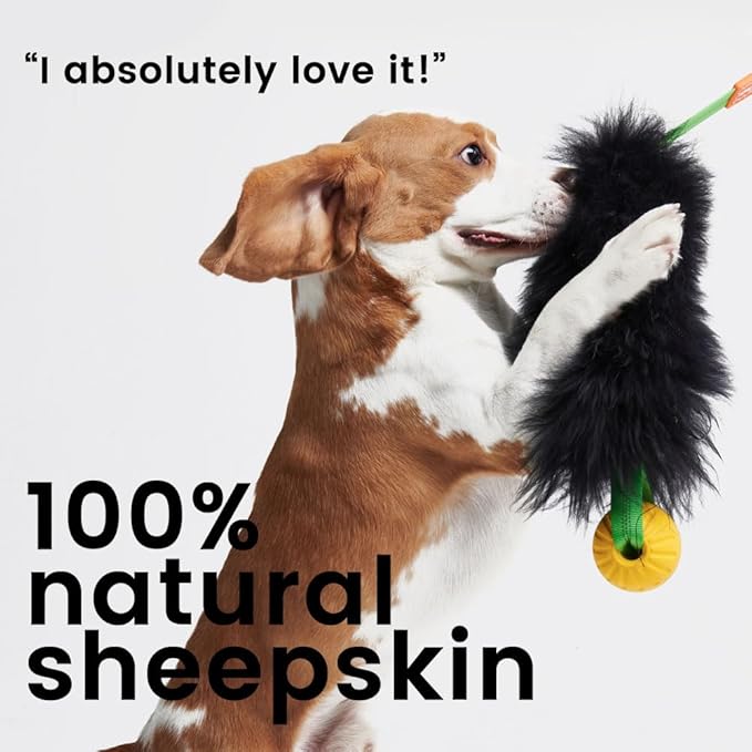 HOWGO Dog Rope Toy,Dog Bungee Chaser Toy 100% Sheepskin,Sheep Smell Tug Toy for All Breeds (Purple, Short Without Ball)
