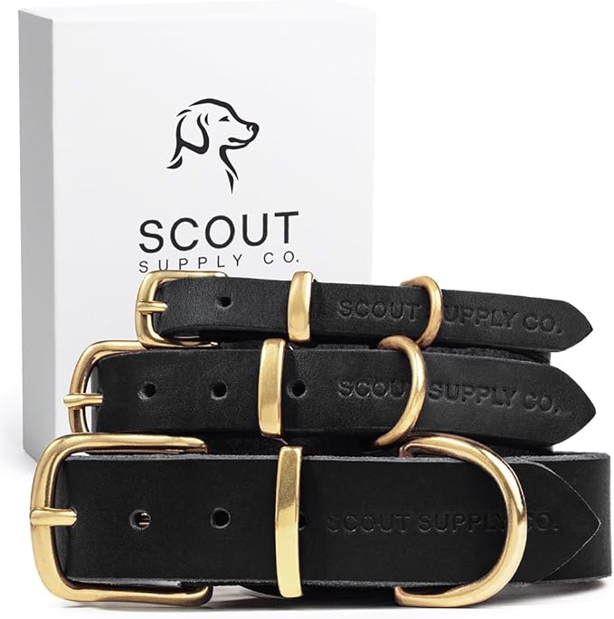 Classic Genuine Leather Dog Collar | Dog Collars for Medium Dogs, Small Dogs, Large Dogs & Extra Large Dog | Wide Dog Collar | Heavy Duty Collar (Black, XX Large)
