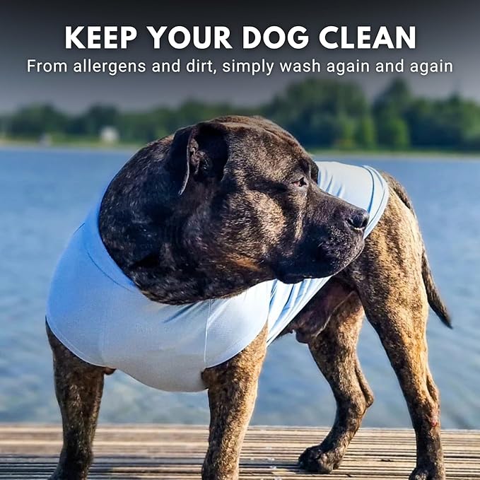 Spark Paws Sunblock Dog T-Shirt, SPF30 Protection, Lightweight Breathable Quick Dry for Dogs with Sensitive Skin - Blue & Mint (Set of 2) - 4XL