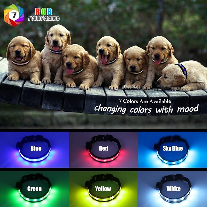 Light Up Dog Collar, Safety LED Dog Collars Rechargeable 7 Colors in One Lighted Dog Collar Glow in The Dark Dog Walking Light, Neon Durable Nylon Adjustable Buckle for Small/Medium/Large Dogs,XS Size