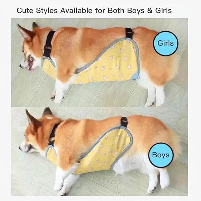 Waterproof Belly Shield for Corgis & Dachshunds – Adjustable underbelly Protector. Male/Female Designs. Stays Dry in rain, mud & Grass. Ideal for Sensitive Skin (Yellow - Male, S)