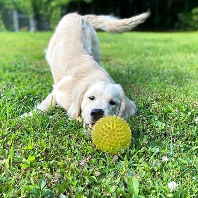 Cutie's PetBox Squeaky Rubber Spike Toy Ball for Medium, Large Dogs (3.5 Inch, Yellow)