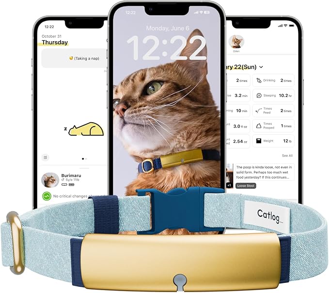 Health Tracker for Cats - Smart Cat Collar with Safety Breakaway Buckle for Indoor Cats, Wellness Alerts, Real-time Monitoring (Ice Blue, XXL)