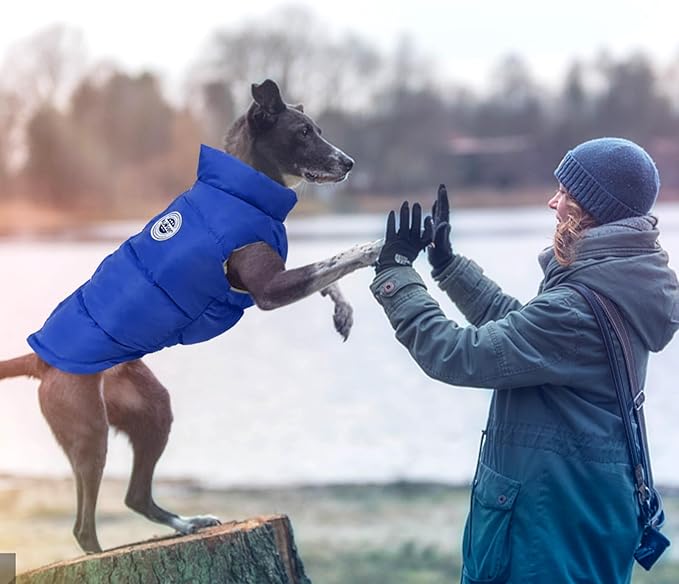 Kuoser Dog Coat Puffer Vest, Warm Dog Jacket Windproof Dogs Cold Weather Coats Pet Snowsuit Padded Vests, Lightweight Puppy Winter Clothes for Small Dogs, Button Design, Easy On/Off, Blue XS