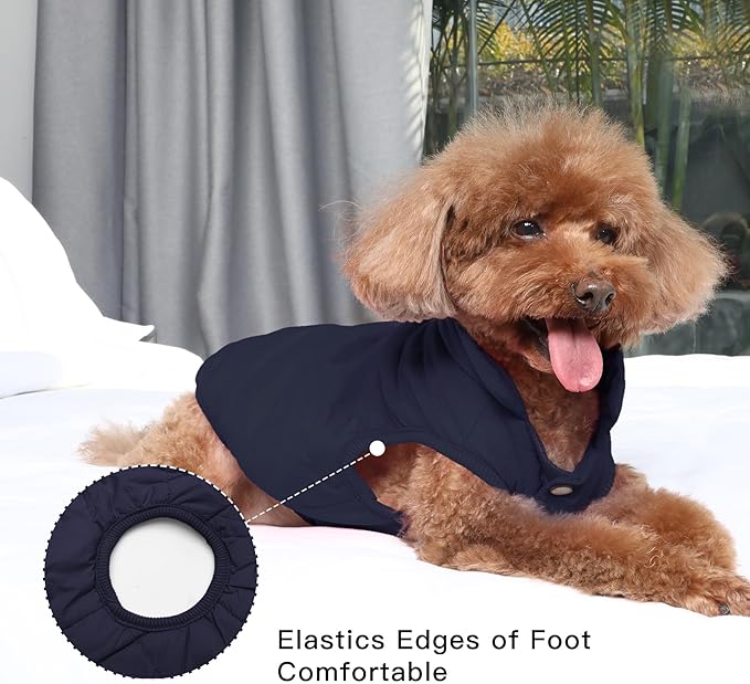 2 Layers Fleece Lined Warm Dog Jacket for Puppy Winter Cold Weather,Soft Windproof Small Dog Coat,Blue S