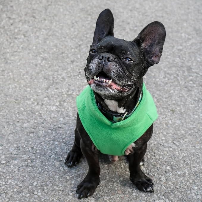 JACKO & CO - Fleece Vest Dog Sweater with Leash Ring - Soft, Warm & Lightweight Pullover Coat for Small & Medium Dogs, Puppies & Cats - Cozy Fall/Winter/Spring Pet Jacket (Green, Small 4-6lbs)