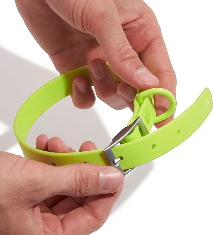Wild One Dog Collar, Easy-Clean, All Weather Flex-Poly Strap with Metal, Durable, Dirt and Odor Resistant (Limeade, XL)