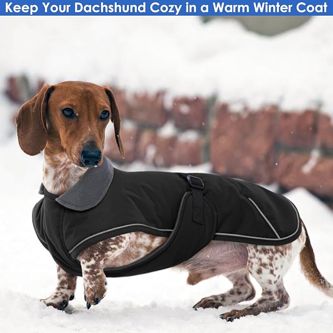 Dachshund Coat Reflective Dachshund Jacket - Black,Small - Waterproof Dachshund Clothes for Winter, Dog Winter Coat with Fleece Lining, Dachshund Coat Harness Hole Adjustable Buckle Closure