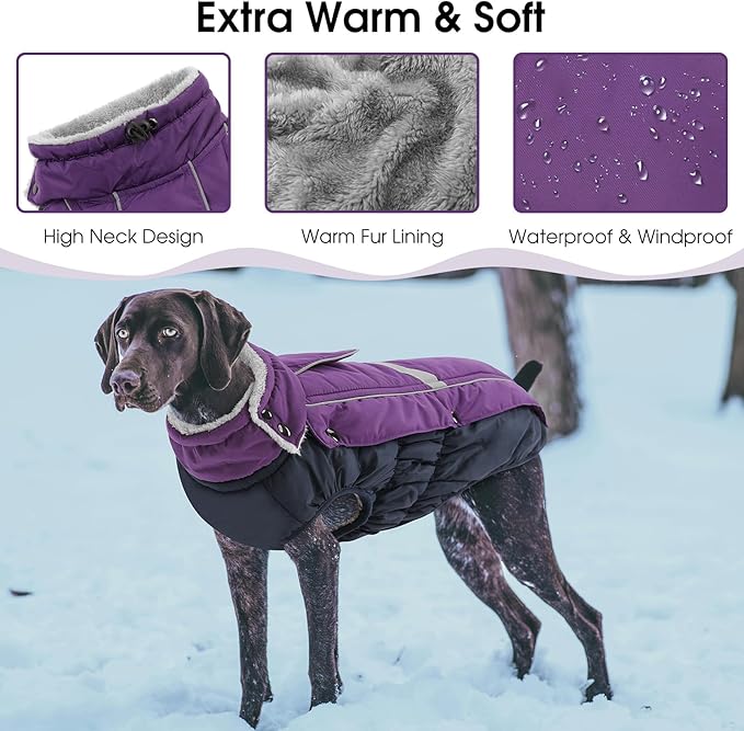 Queenmore Warm Fleece Dog Jacket - Cold Weather Waterproof Snow Coat With Leash Hole, Reflective Turtleneck Snowsuit for Small Medium & Large Dogs (Purple, 2XL)