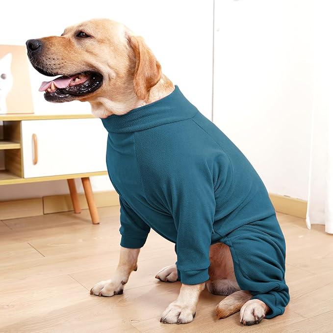 Dog Winter Coat for Small Medium Large Dog Run Walk Sleep Pet Warm Fleece Sweater & Windproof Pajamas Snow Jacket Large Turquoise