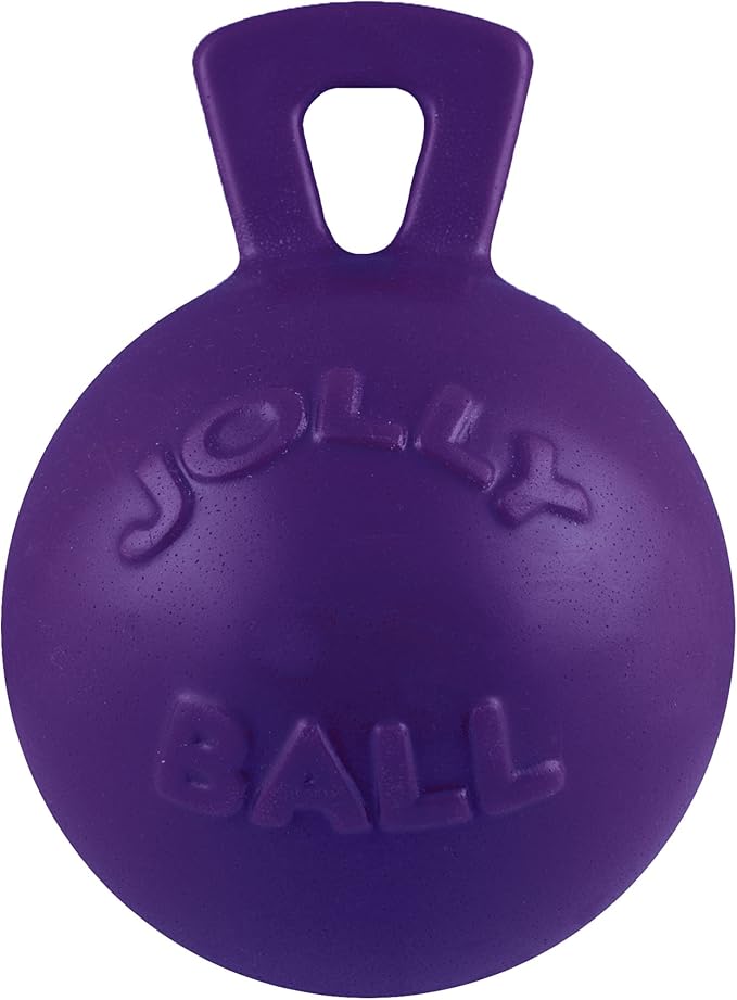 Jolly Pets Tug-n-Toss Heavy Duty Dog Toy Ball with Handle, 10 Inches/X-Large, Purple
