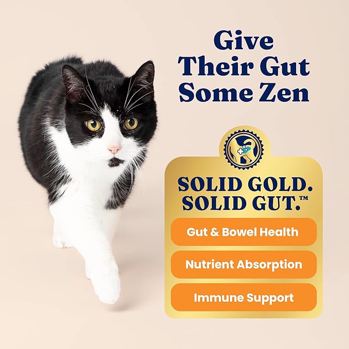 Solid Gold Indoor Dry Cat Food - Grain Free & Gluten Free - Salmon Cat Food Dry Kibble for Indoor Cats w/Probiotics & Fiber for Gut Health - Sensitive Stomach & Hairball Support for Adult Cats - 12LB