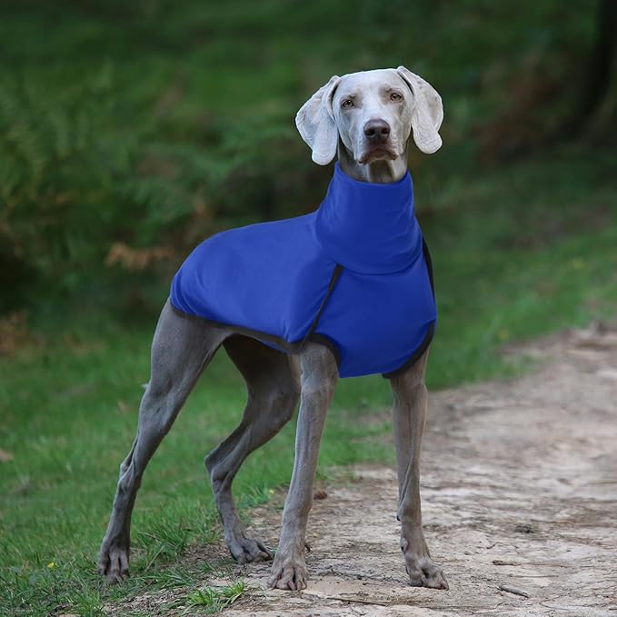 ROZKITCH Dog Pajamas for Small Dogs with Built-in Leash Hole, Pet Windproof Warm Cold Weather Jacket Vest Cozy Jumpsuit Apparel Outfit Clothes for Walking Hiking Travel Sleep Blue XS