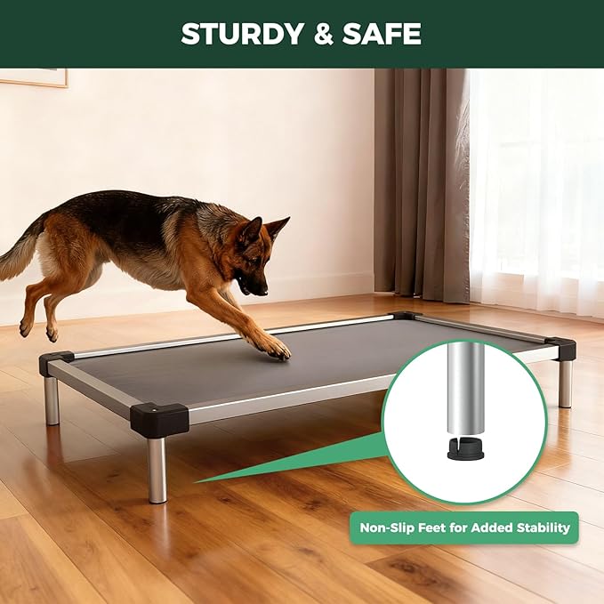 FXW TitanNest Chew-Proof Elevated Dog Bed, Raised Cot for Indoor/Outdoor/Camping Use, Durable & Washable Padded Pet Bed for Large Dogs, 50.0" L x 31.0" W x 7.3" H, Gray