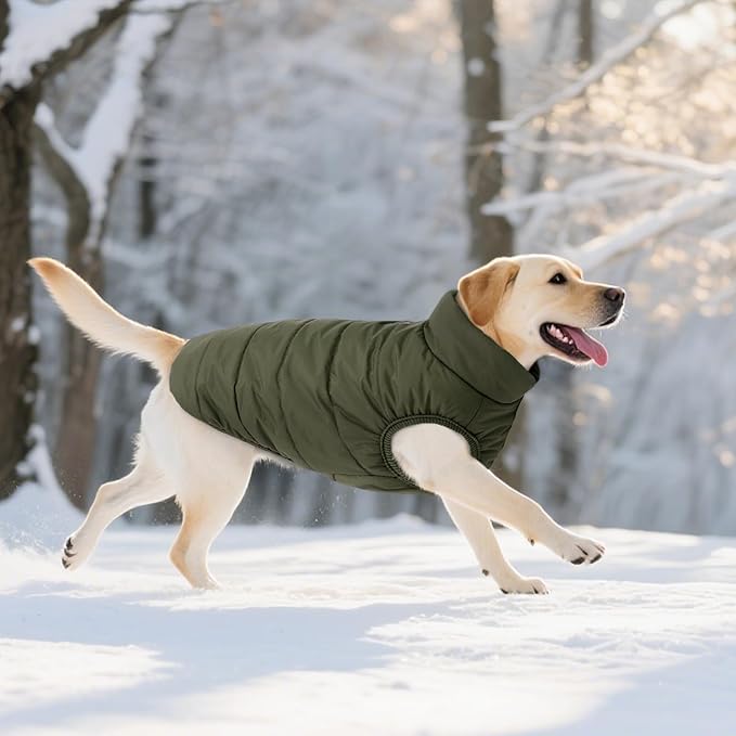 ASENKU Windproof Dog Winter Coat Waterproof Fleece Jacket Cold Weather Pet Apparel for Small Medium Large Dogs (ArmyGreen, 3XL)
