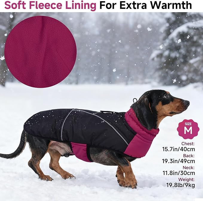 DORA BRIDAL Dachshund Coat, Fleece Lined Dog Winter Coat, Warm Dog Coats with Reflective Strips, Adjustable Waterproof Pet Jacket Clothes, S