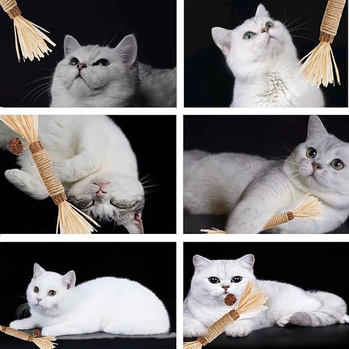 Cat Toys 10Pack Silvervine Chew Stick Kitten Treat Catnip Toy Kitty Natural Stuff Catnip for Cleaning Teeth Indoor Dental Snack Interactive