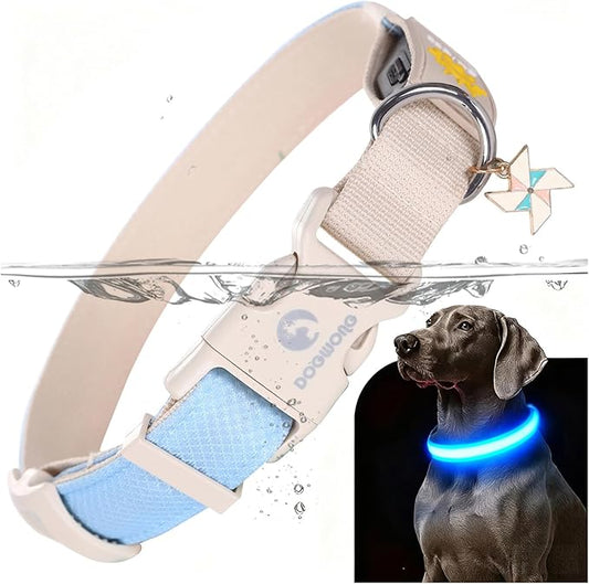 DOGWONG LED Dog Collar - Heavy Duty Light up Collars - Rechargeable Waterproof - Lighted Dog Collar for Night Walking, Hiking, Camping(Blue,L)