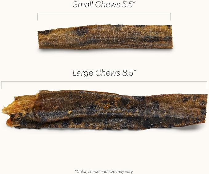 The Honest Kitchen Ocean Chews™ Hearty Wolffish Skins Dog Treats, 3.25 oz (Beams™)