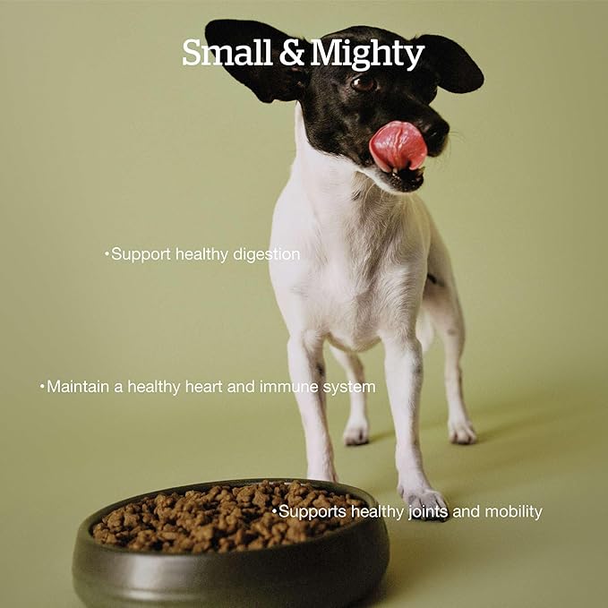 Now Fresh Grain-Free Small Breed Senior Dry Dog Food with Turkey, Salmon & Duck, Premium Kibble Made with Real Meat & Fish, Chicken-Free, Added Glucosamine & Chondroitin for Healthy Joints, 12 lb Bag
