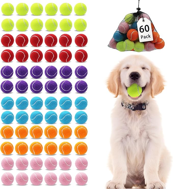 Magicorange Small Tennis Balls, 60 Pack 2 inch Tennis Balls for Dogs, Colorful Easy Catching Pet Dog Playing Ball (Multicolor)