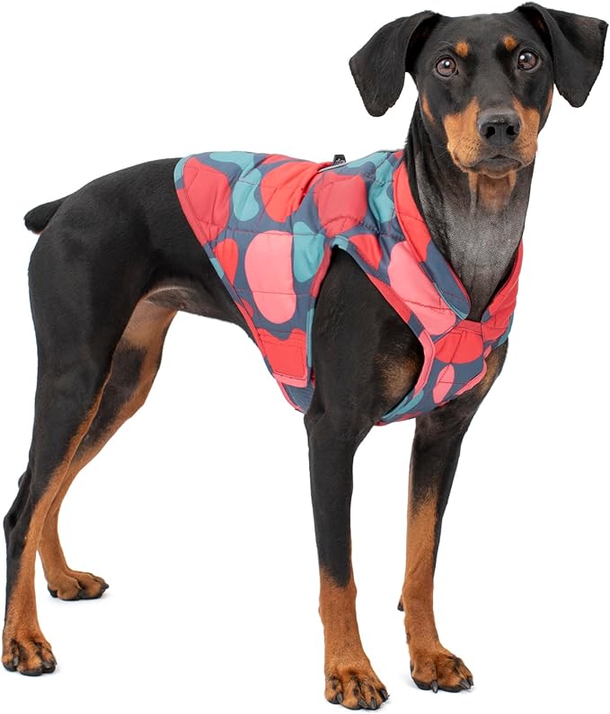 Kurgo Loft Dog Jacket - Reversible Cozy Coat for Outdoor Adventures - Water Resistant - Athletic Fit - Machine Washable Fabric - Reflective Dog Gear - X-Small - Lava Lamp