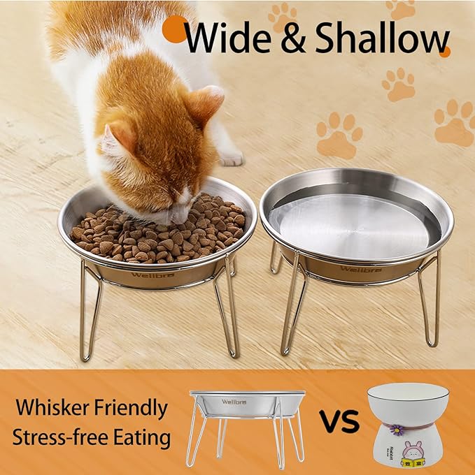 Cat Food Bowls, 4 Pcs Stainless Steel Cats Food and Water Whisker Fatigue Shallow Dishes, Small Dog Puppies Fat Faced Cat Kitten Supplies (4 Pack Raised Bowls)