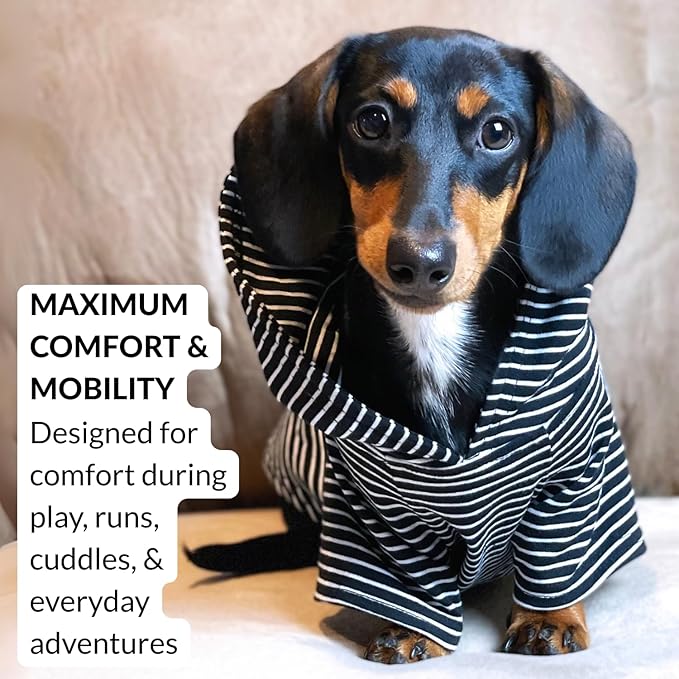DJANGO Dog Hoodie – Warm, Lightweight, Soft & Stretchy Dog Sweater with Hood, Harness Hole & Elastic Waistband – Cozy Sweatshirt for Small Dogs up to 25 lbs, Dachshunds & Puppies – Black, X-Small