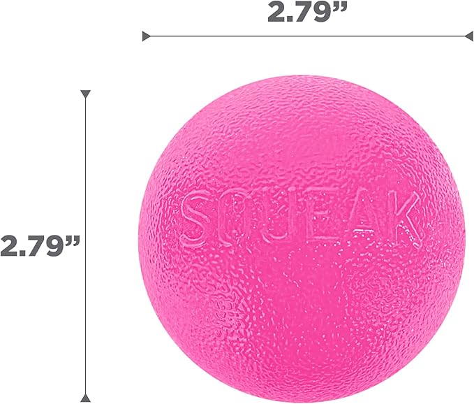 Outward Hound by Planet Dog Squeak Ball Bouncy Fetch Dog Toy, Pink